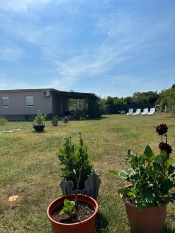 PUY Holiday Home Lavanda מראה חיצוני תמונה